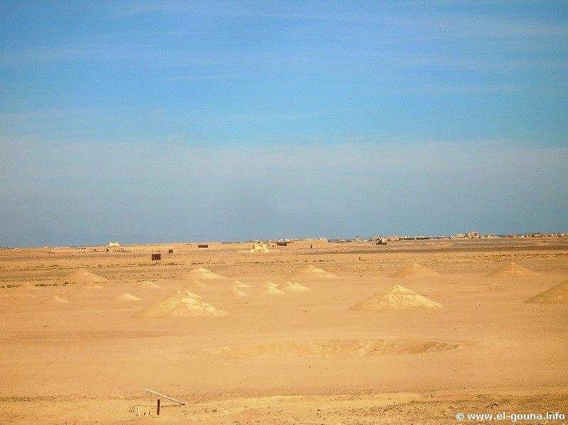 Desert Breath 013